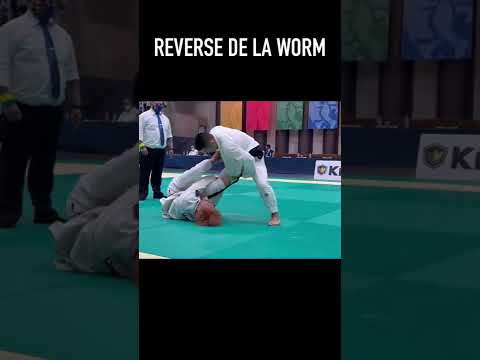 リバースデラワーム | JBJJF 全日本ブラジリアン柔術選手権 2022