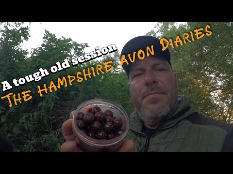 Hampshire Avon Diaries. In search of Chub and Barbel. Pt1