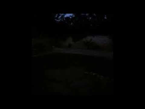 deadrazy - hurts / dont suffer (2019)