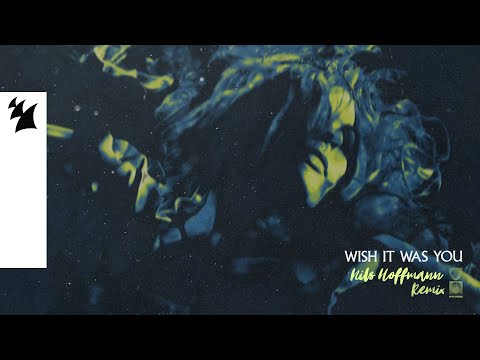 Audien feat. Cate Downey - Wish It Was You (Nils Hoffmann Remix) [Official Visualizer]