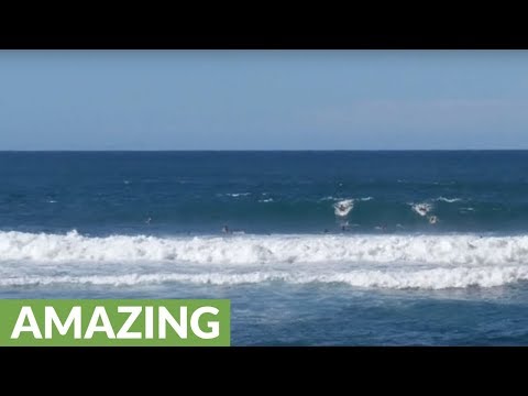 Fearless surfers take on extreme waves at Maui's North Shore