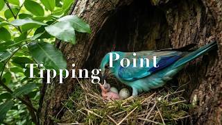Tipping Point | #FutureVisionXPRIZE Submission