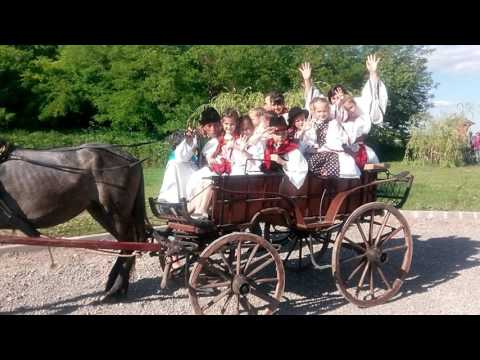 Szaporca májusfa döntés 2017