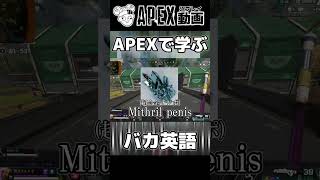 APEXで学ぶ。バカ英語。#shorts
