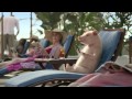 The Geico Pig Droppin Some Beats Boots And Pants