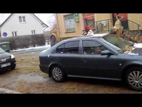 Śmigusnioki 2015  2