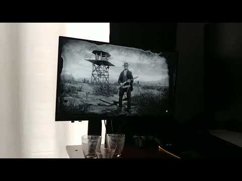 RDR2 Colorful Artifacts and Crash