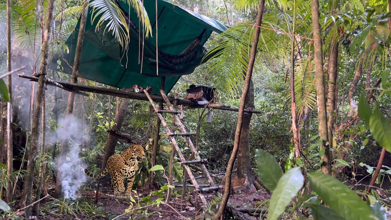 ACAMPAMENTO COM MUITO PERIGO A SUA VOLTA PIRANHAS, JACARÉS, ARIRANHA E RASTROS DE ONÇA POR TODO LADO