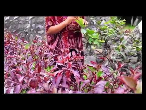 Vidal cardona ft Solista Gloria Isabel Domingo //En Jesús me Refugio//