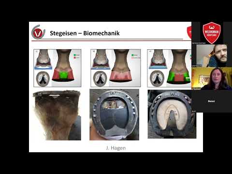 Werkman Webinars 2023: Dr.vet.med.Jenny Hagen - Stegeisen: Die Nutzung und ihre Nebenwirkungen
