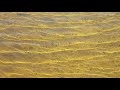 Bruno Sanfilippo · Silk Offering (AUDIO)