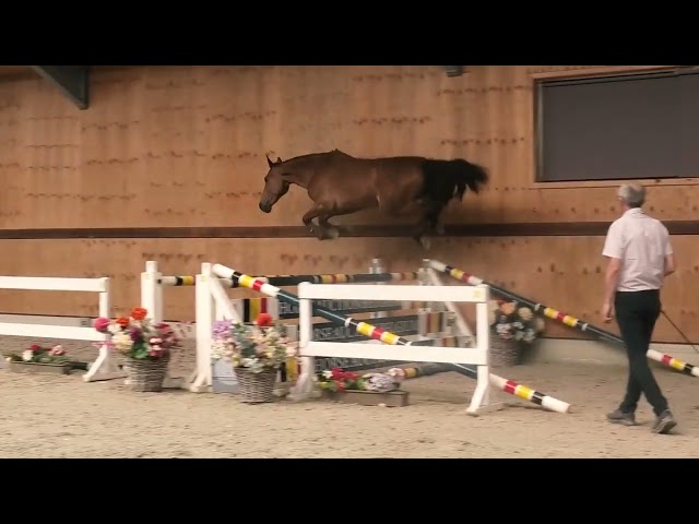 Jumping