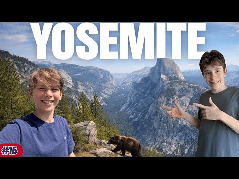 BÄR-SICHTUNG im Yosemite Nationalpark! 😱