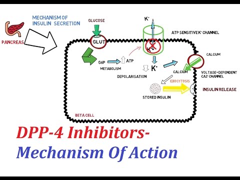 dpp 4 inhibitorok és súlycsökkenés