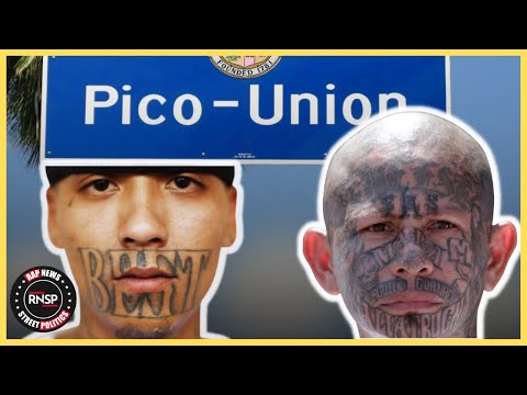 Most Dangerous Gangs in Los Angeles: Hollywood/Pico Union/Low Bottoms