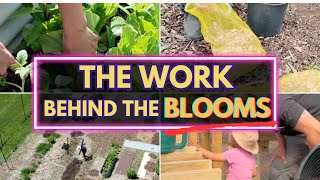 From field work to first harvests: May Farm Vlog