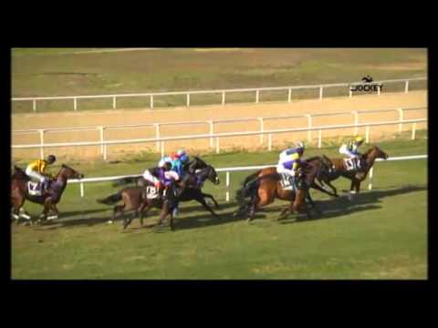 2 Carrera, premio Cría Nacional, 31 de enero 2016 - Gran Hipódromo de Andalucía