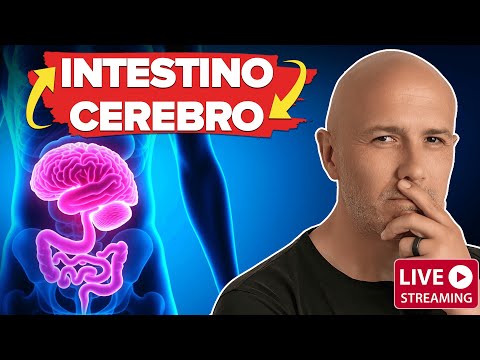La CONEXIÓN INTESTINO y CEREBRO | El SECRETO Detrás de la ANSIEDAD y la DEPRESIÓN