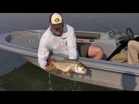 Vagabond Fly: Fly Fishing the Chobe River (Namibia) for Tigerfish.          Africa Burning