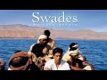 Swades Shahrukh Khan Full Movie Hindi Facts And Review Gayatri Joshi