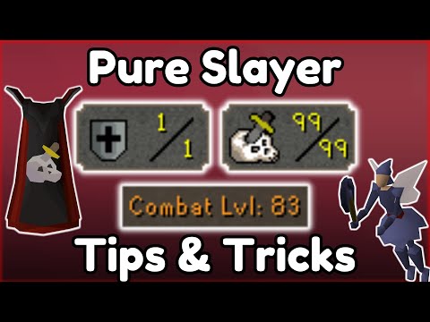 1 Def Pure Slayer | 30 Tips & Tricks