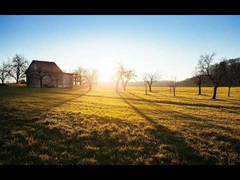 Cantarile Copilariei vol 4 - Colaj de cantari vechi Speranta si Prietenii 2021