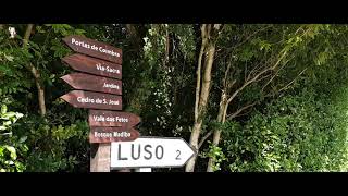 Bosque Madiba
