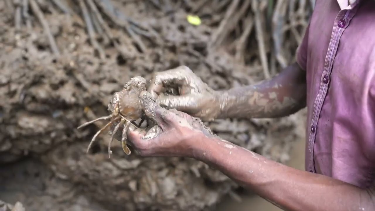 Catadores de Caranguejos, Geba - PRÁTICAS NATIVAS DE MOÇAMBIQUE