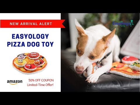 download lagu mp3 mp4 Pizza Dog Toy, download lagu Pizza Dog Toy gratis, unduh video klip Pizza Dog Toy
