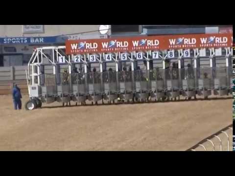 Springs Of Carmel - SA Fillies Nursery