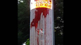 Sons of Joe -  Lost on Me