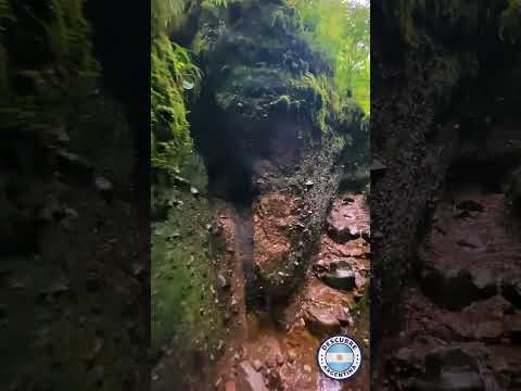 Claustrofobia en la selva 😲 Angosto de Jaire 💚 Jujuy 😍  #jujuy #argentina  #nature  #visitargentina