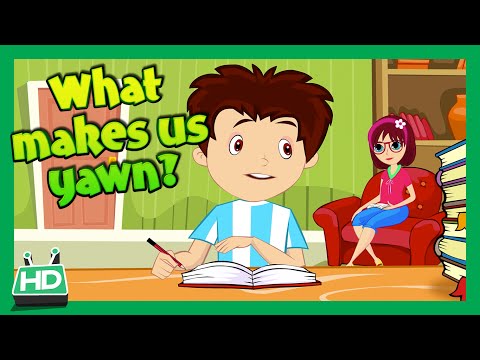 Why Do We Yawn? What Makes Us Yawn?