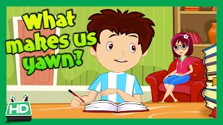 Why Do We Yawn? What Makes Us Yawn?