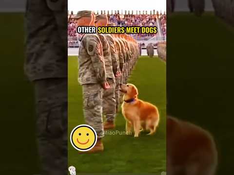 Emotional Soldiers Returning Home Moments 🩷😘