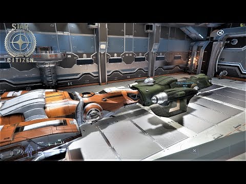 Star Citizen Freelancer MIS & MAX 3.4.1