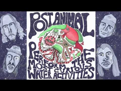 Post Animal Perfom the Most Curious Water Activities