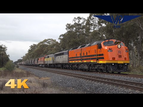 Freight and Pass in North East Victoria: Australian Trains in 4K