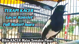 Download lagu TERAPI KACER GACOR KONSLET full materi juara / DIJAMIN Kacer bahan pasti Langsung Tarung makin panas mp3
