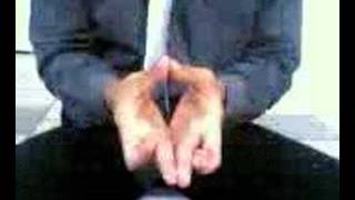 Download lagu buah 30 mp3