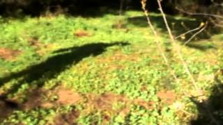 Figurine - International Space Station II