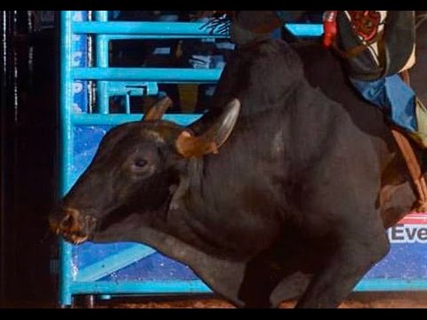 Round I Final Circuito Rancho Primavera Quintana 2015