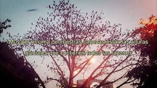 The Shins - Caring is Creepy - Subtitulos en español