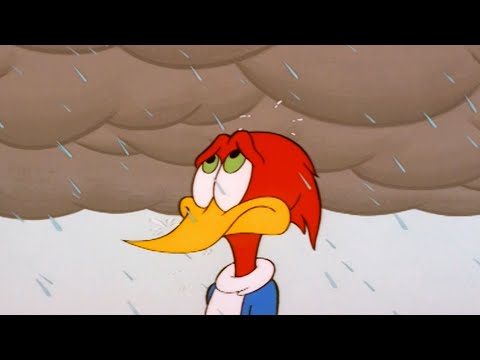 Capa de Festa na piscina | Episódio Completo | Pica-Pau em Português