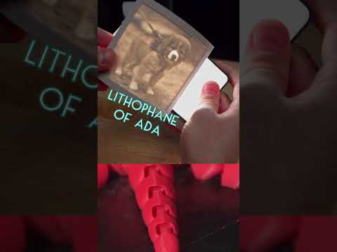 The Rocktopus 🗿 3D Printed