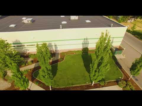 Business Commercial #2