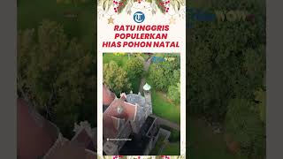 Tradisi Mendekor Pohon Natal Ternyata Dipopulerkan Ratu Inggris, Dipercaya Menjauhkan dari Penyakit