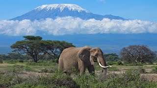 Music by CUSCO ♪ Kilimanjaro ♪ «Remix»