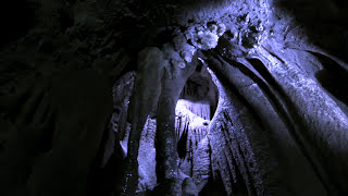 Camil Kanouni - GO TO THE MOON (Lyric Video)