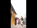Viral Bhangra Video #bhangra #shorts #punjabisong